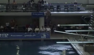 2007 USA DIVING Natls M1M-5 DISK 200