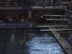 2007 USA DIVING Natls Synchro -1 DISK 198