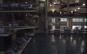 2007 USA DIVING Natls M3M Prelims -5 DISK 197