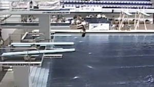 2001 USA Diving Jr Natls G3M IUPUI Disk 149 3-2