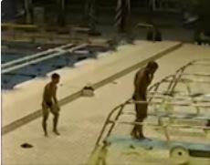 1995 world cup 5 womens 1 meter womens 3 meter sync