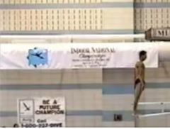 1995 spring nationals mens 3 meter